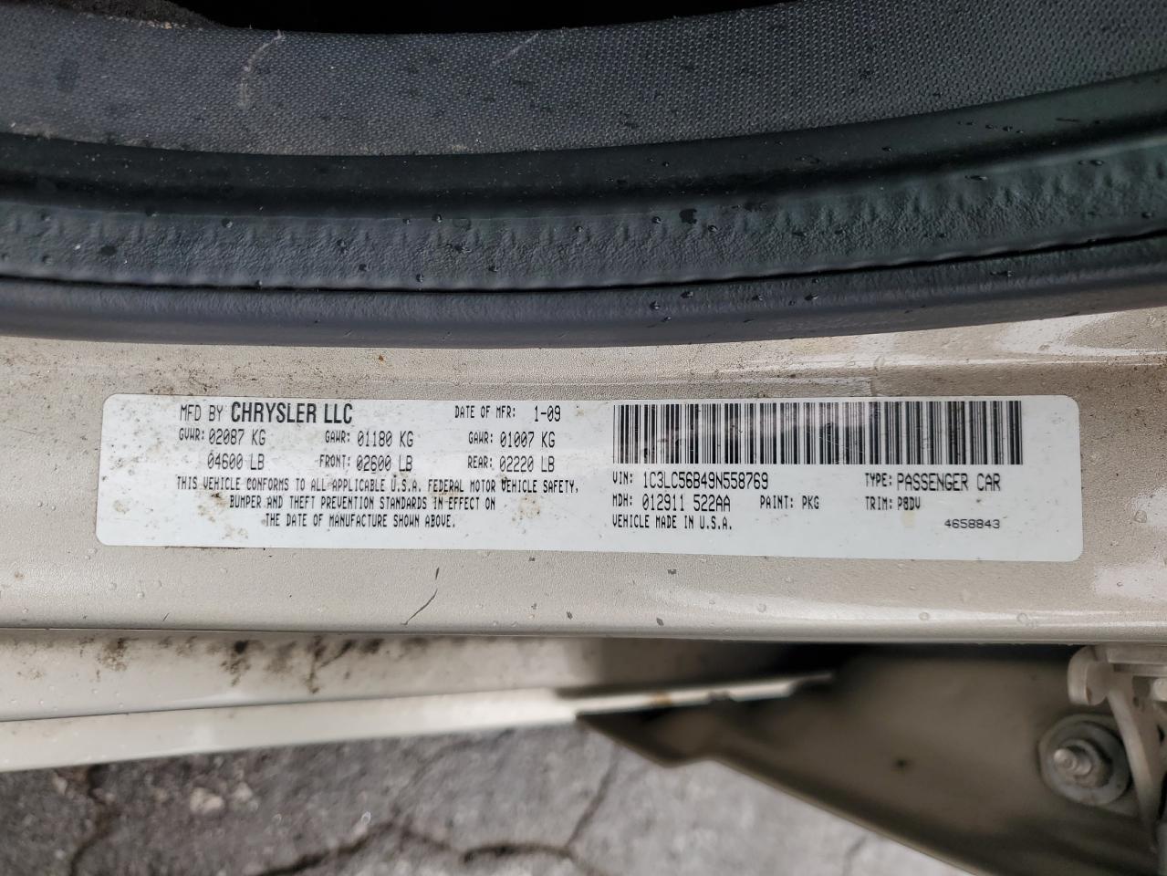 2009 Chrysler Sebring Touring VIN: 1C3LC56B49N558769 Lot: 85569455