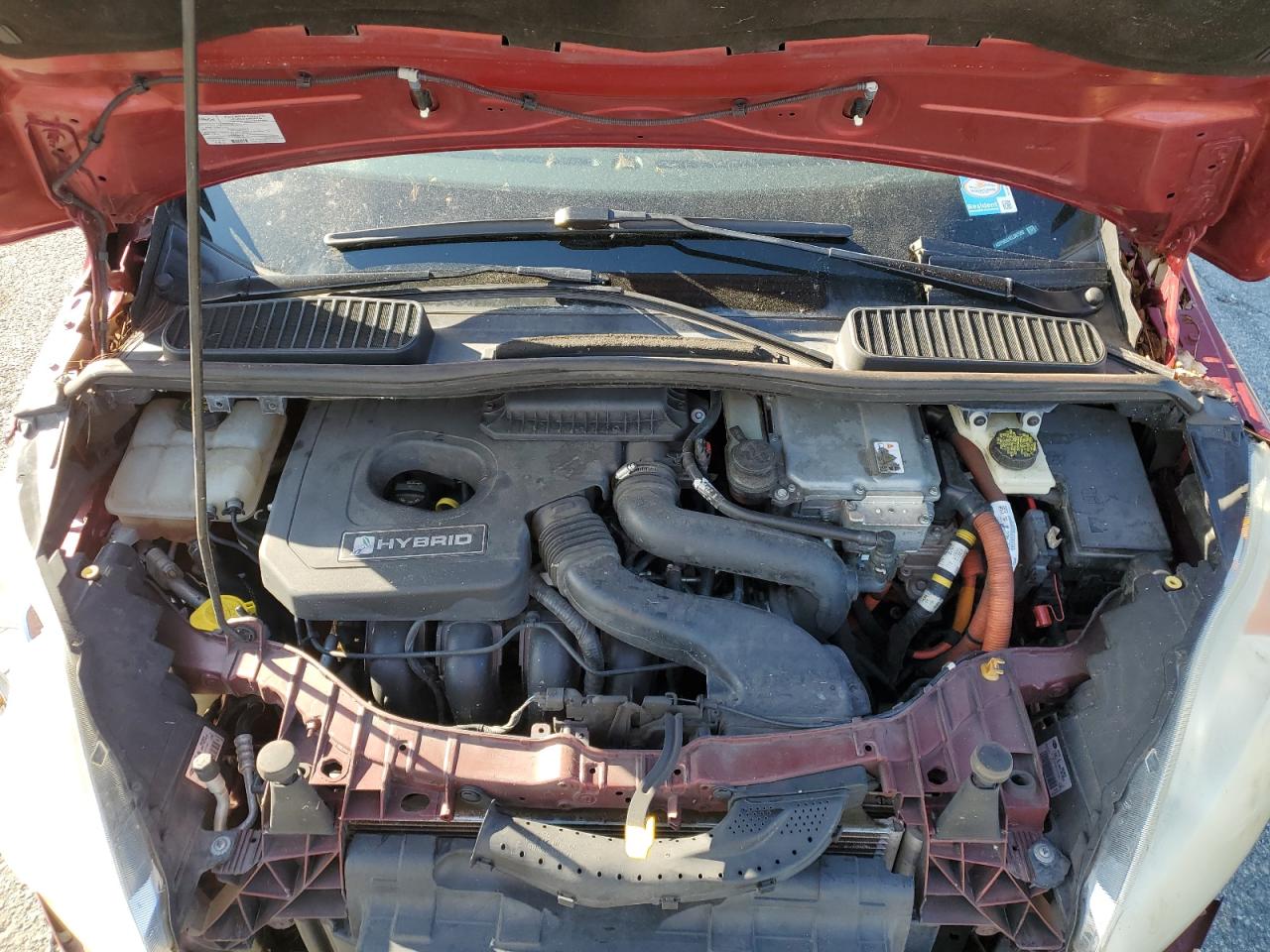 2014 Ford C-Max Sel VIN: 1FADP5BU1EL507592 Lot: 81943385