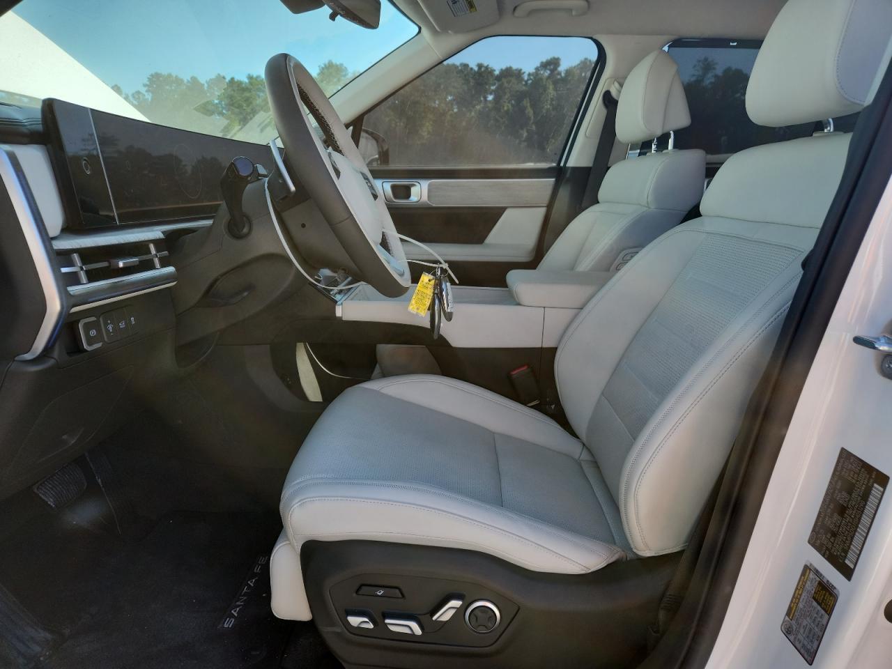 2025 Hyundai Santa Fe Calligraphy VIN: 5NMP5DG11SH051290 Lot: 84210365