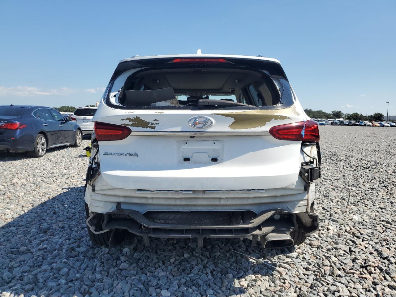 2019 Hyundai Santa Fe Limited VIN: 5NMS53AD4KH030845 Lot: 87262955