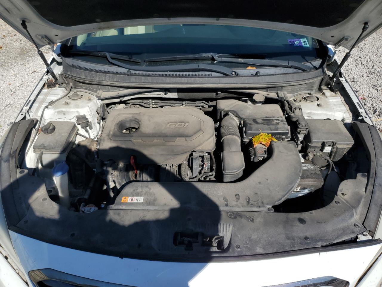 2015 Hyundai Sonata Sport VIN: 5NPE34AFXFH255659 Lot: 87275565