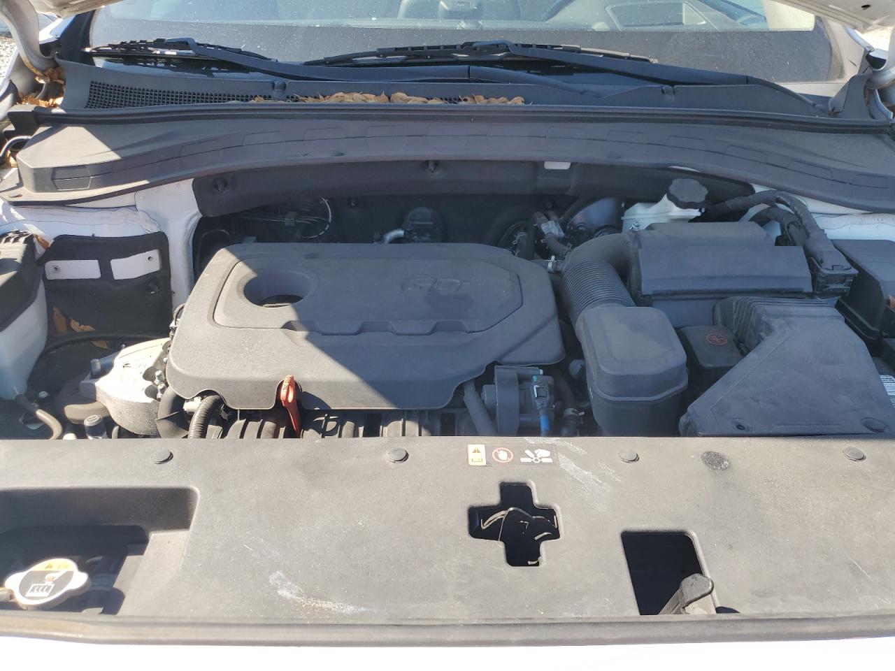 2019 Hyundai Santa Fe Limited VIN: 5NMS53AD4KH030845 Lot: 87262955