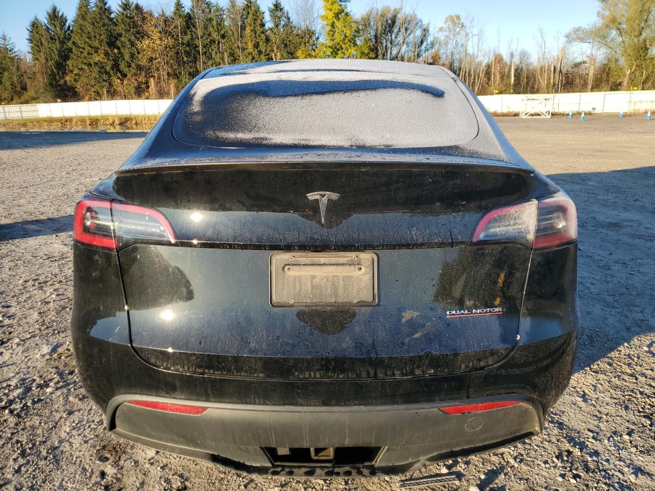 2023 Tesla Model Y VIN: 7SAYGDEF9PF769517 Lot: 82755755