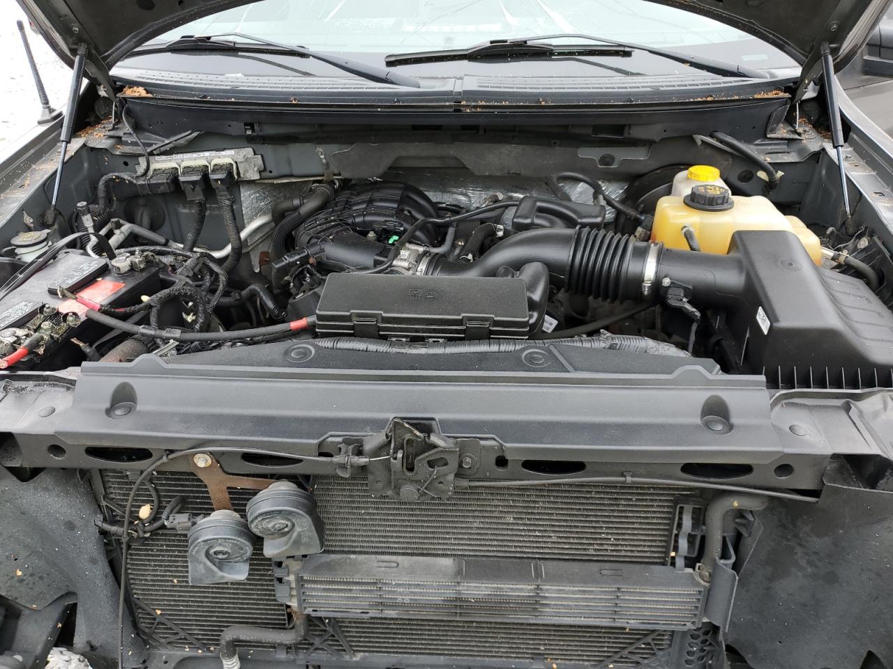 2014 Ford F150 VIN: 1FTMF1CM2EFB33917 Lot: 89547625