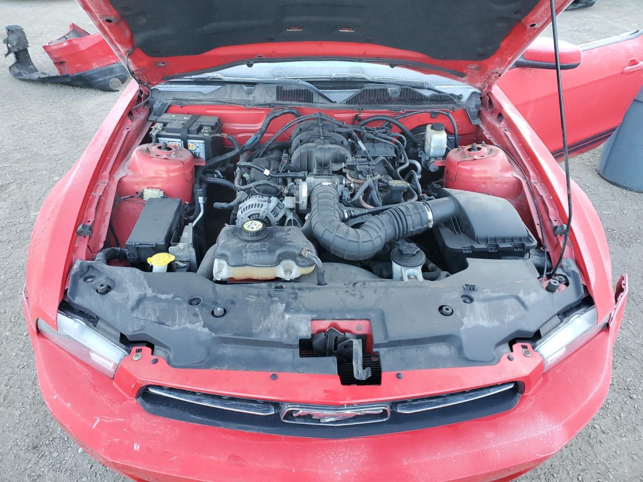 2010 Ford Mustang VIN: 1ZVBP8EN6A5109264 Lot: 89818015