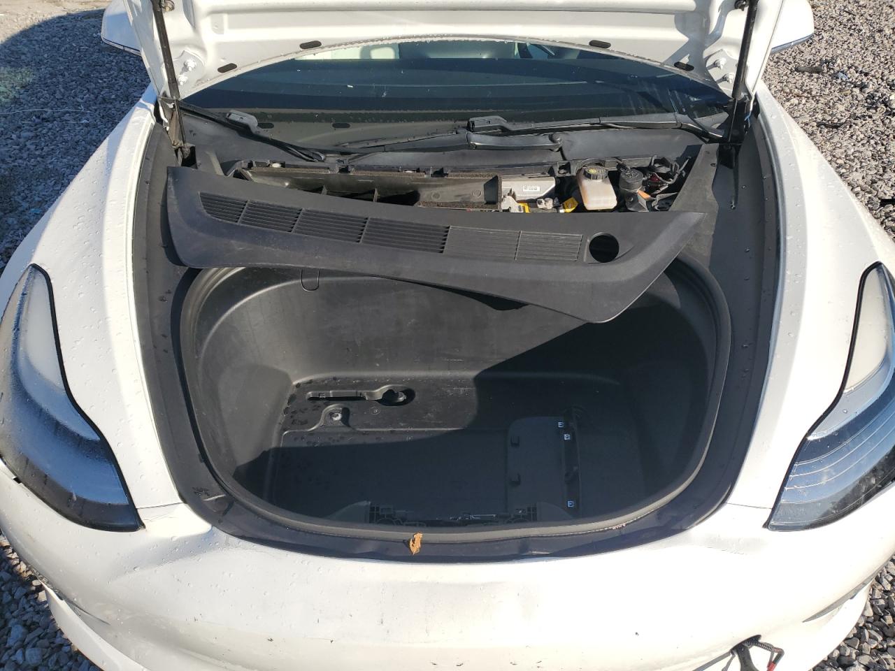 2019 Tesla Model 3 VIN: 5YJ3E1EA7KF429436 Lot: 82313975