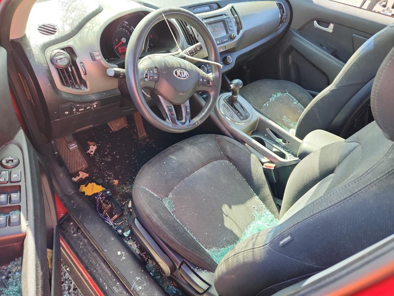 2014 Kia Sportage Base VIN: KNDPB3AC7E7640451 Lot: 82184945