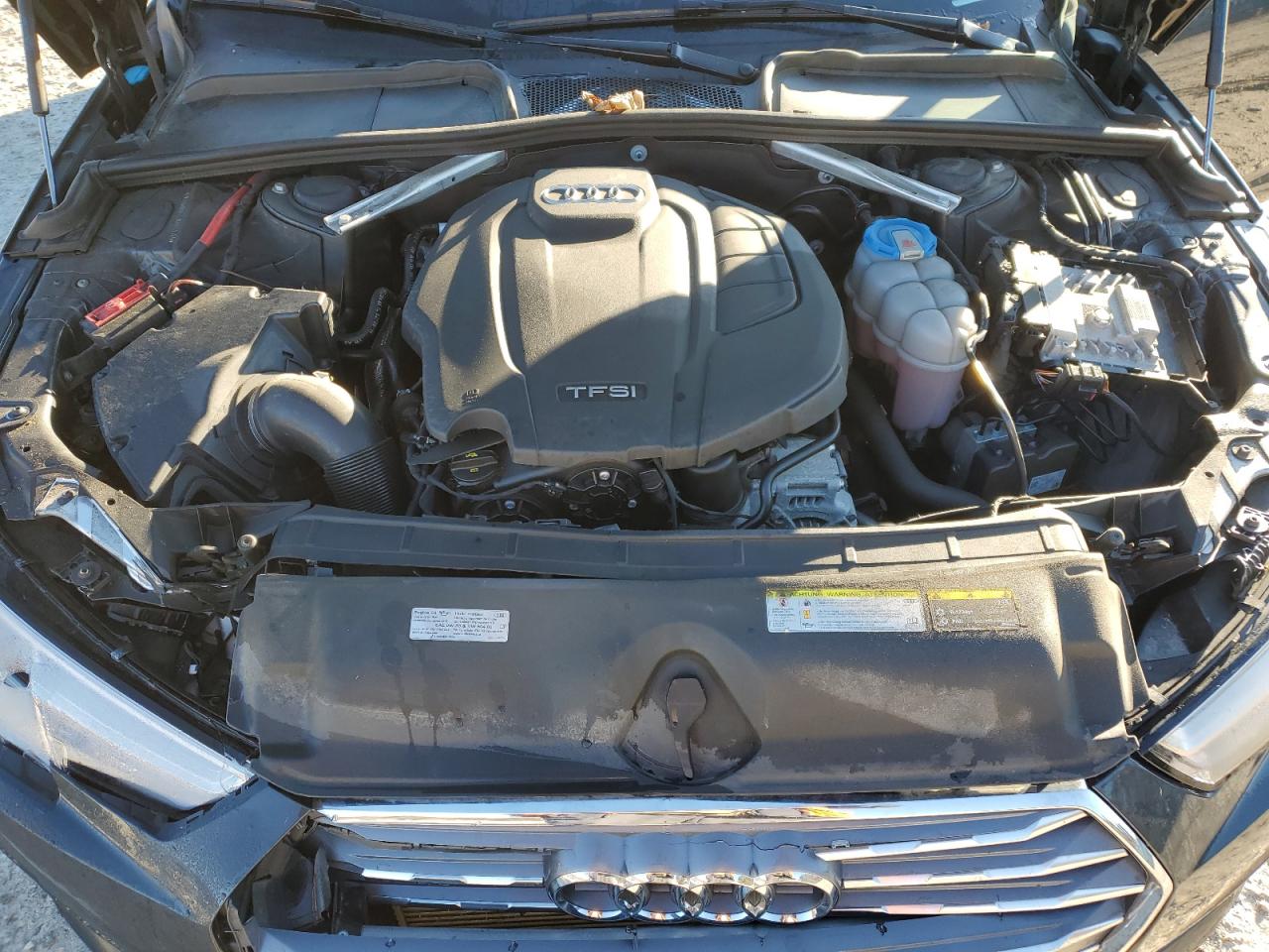 2019 Audi A4 Premium VIN: WAUDNAF43KA031269 Lot: 90113805