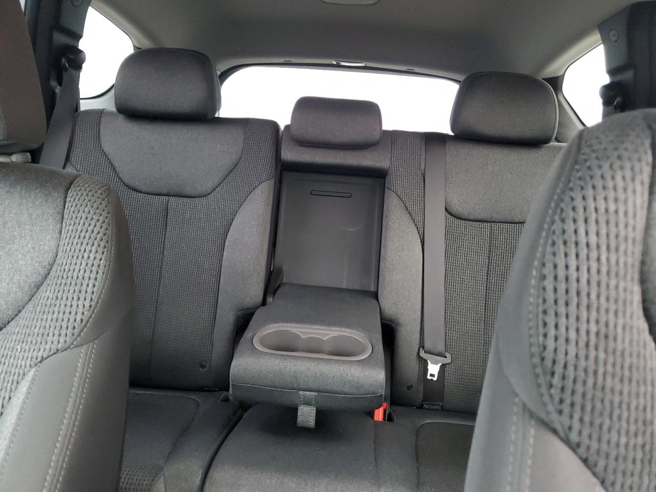 2020 Hyundai Santa Fe Sel VIN: 5NMS33AD3LH281086 Lot: 85649225