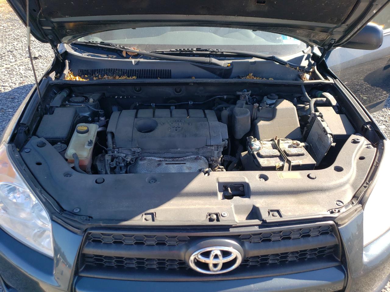 2011 Toyota Rav4 VIN: 2T3JF4DV5BW165475 Lot: 81008245