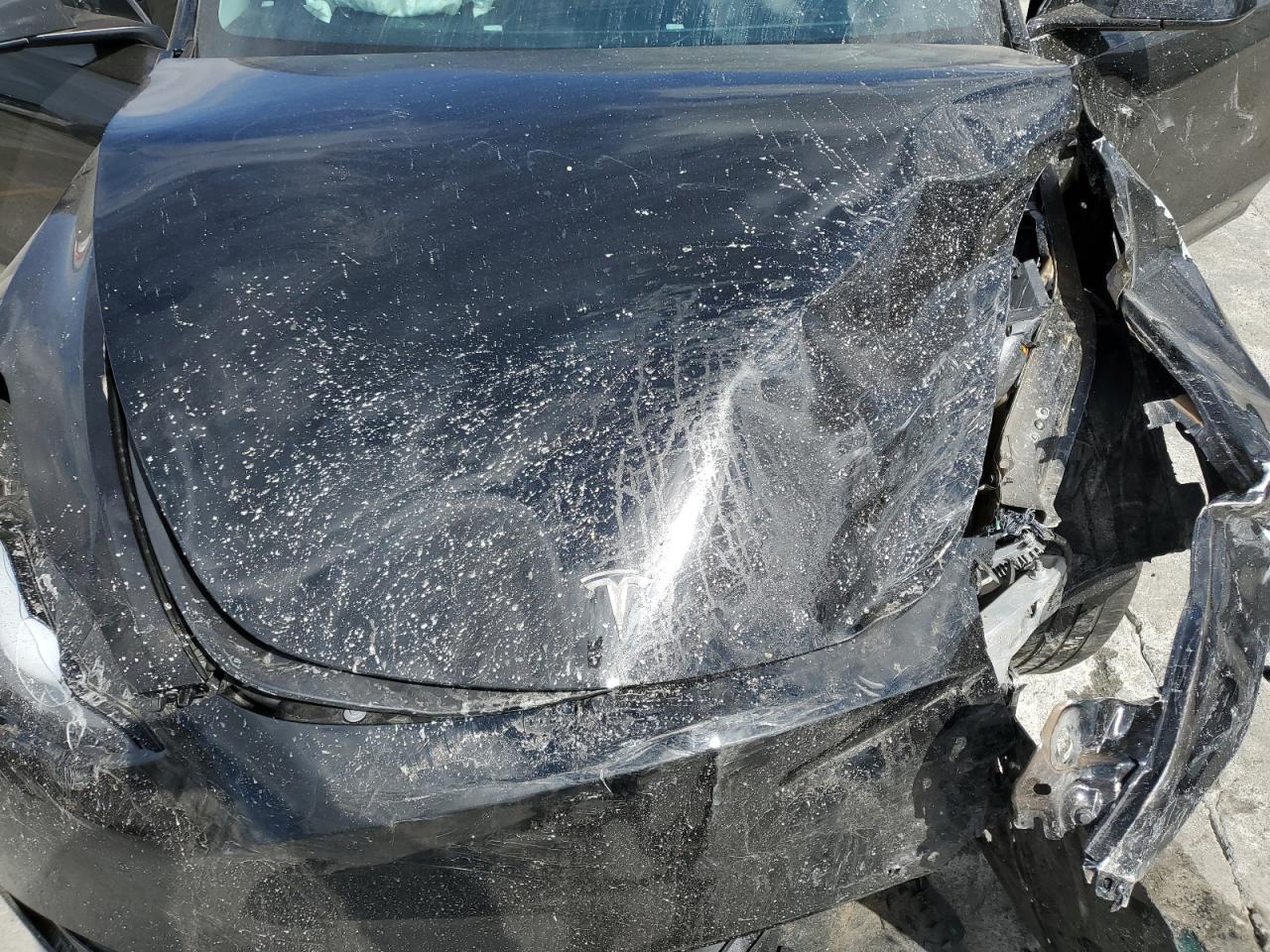 2024 Tesla Model Y VIN: 7SAYGDEE3RF080793 Lot: 86249185