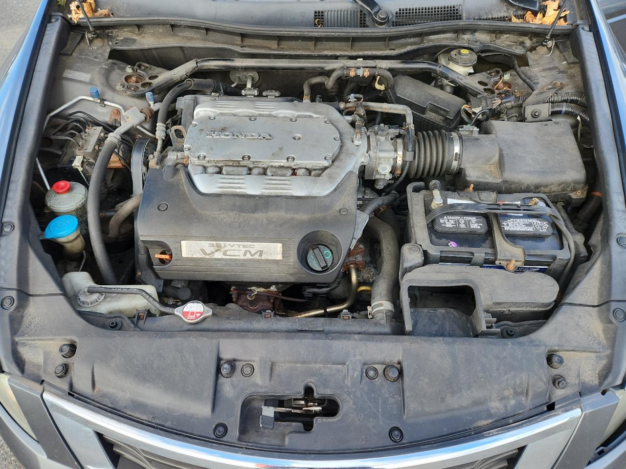 2010 Honda Accord Exl VIN: 1HGCP3F81AA006653 Lot: 84539565