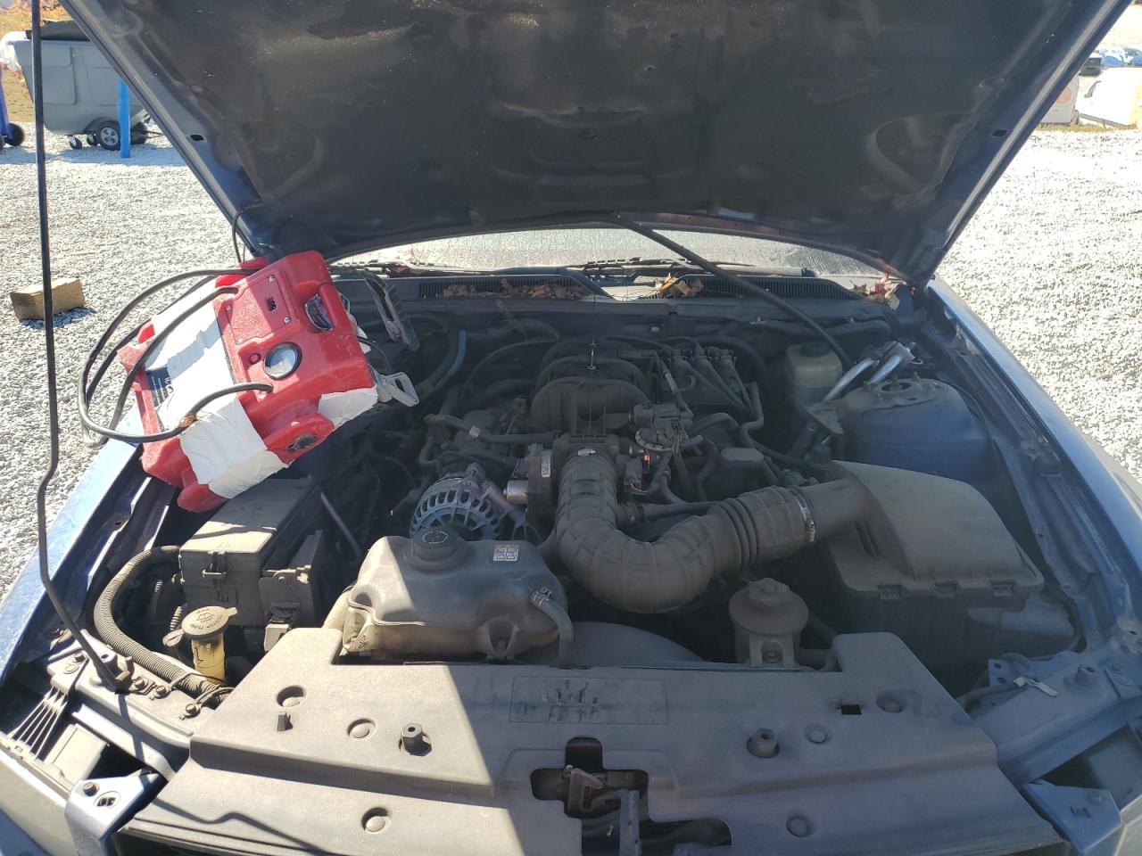 2006 Ford Mustang VIN: 1ZVFT80N065154518 Lot: 89848085