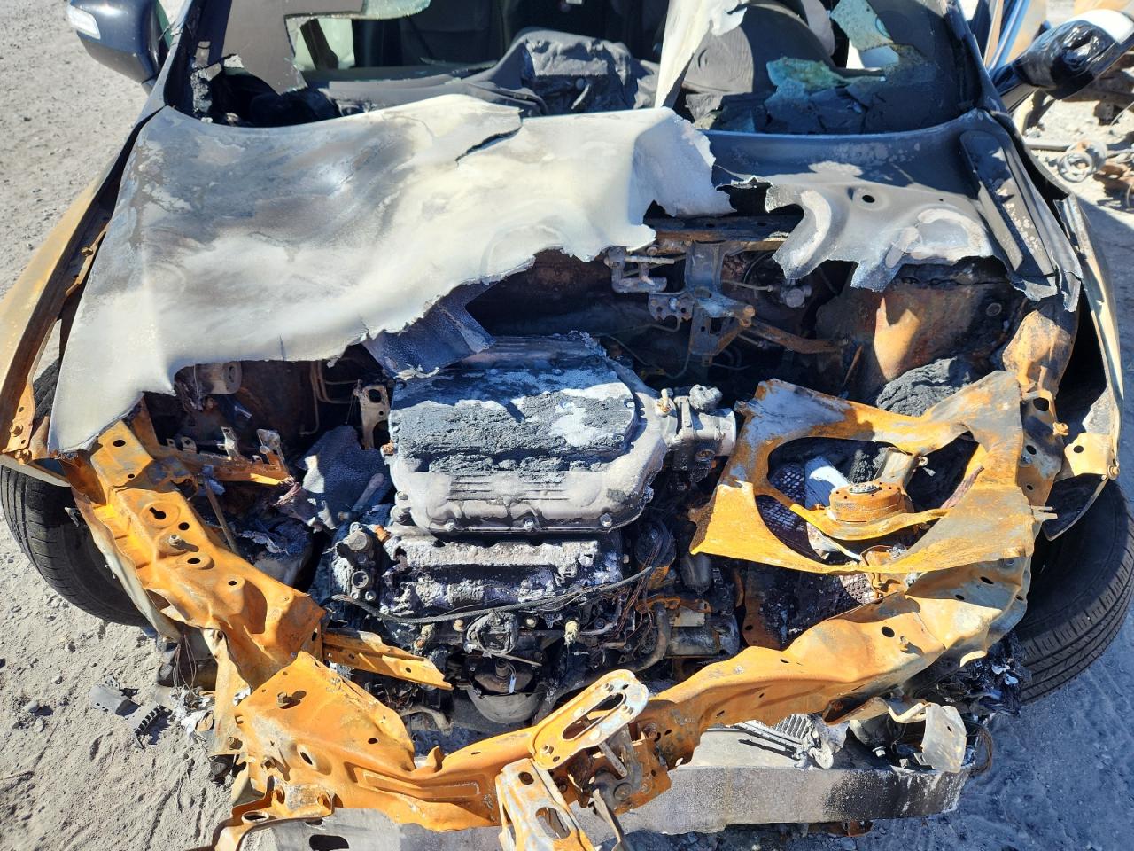 2014 Acura Rdx VIN: 5J8TB3H31EL010888 Lot: 89836415