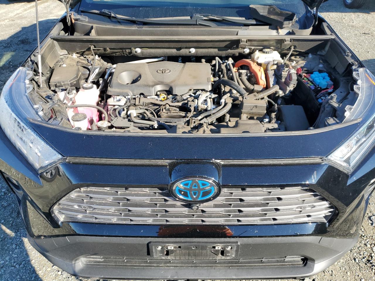 2021 Toyota Rav4 Limited VIN: JTMD6RFV9MD034427 Lot: 82476655