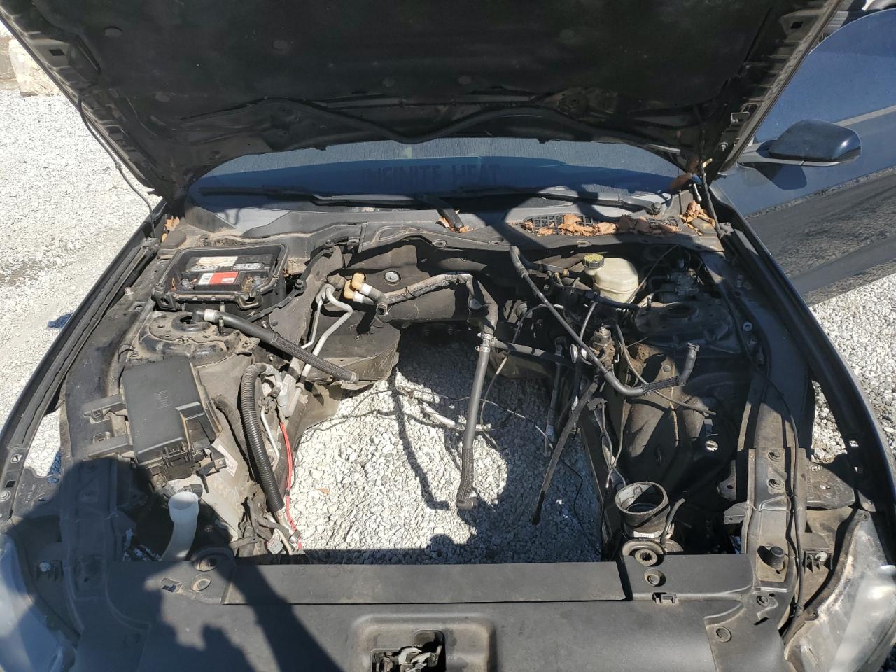 2016 Ford Mustang Gt VIN: 1FA6P8CF1G5228709 Lot: 85865955