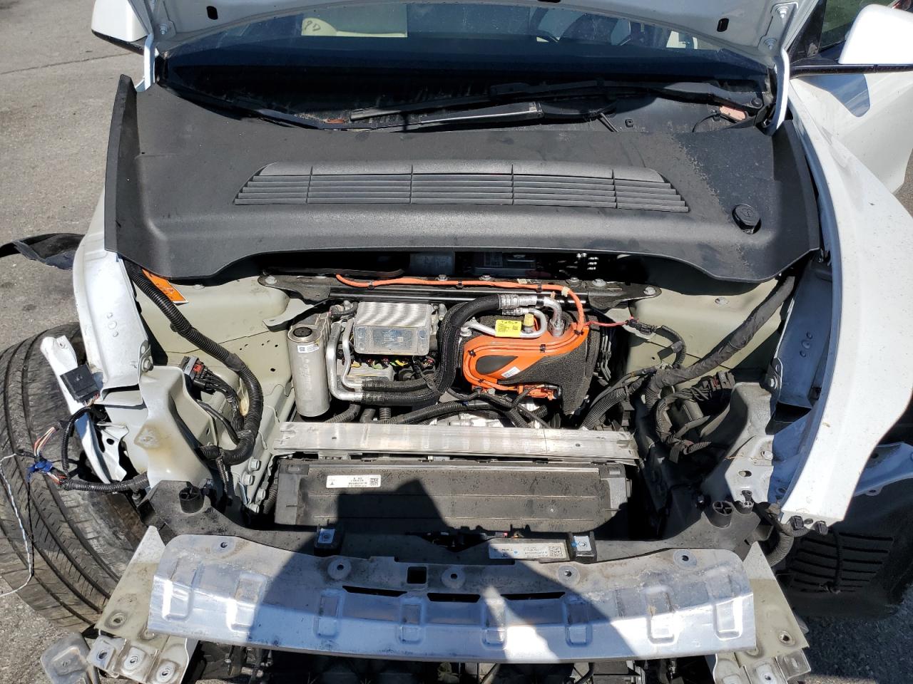 2023 Tesla Model Y VIN: 7SAYGDEF8PF645738 Lot: 84268465