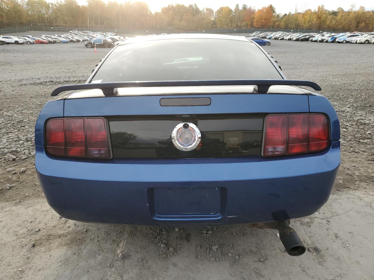 2006 Ford Mustang VIN: 1ZVFT80NX65117587 Lot: 89625285