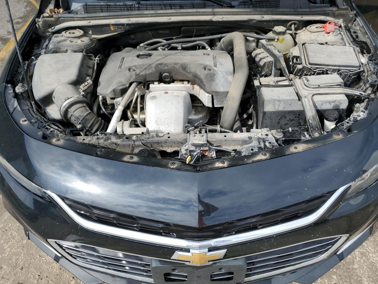 2016 Chevrolet Malibu Premier VIN: 1G1ZH5SX4GF317951 Lot: 85557705