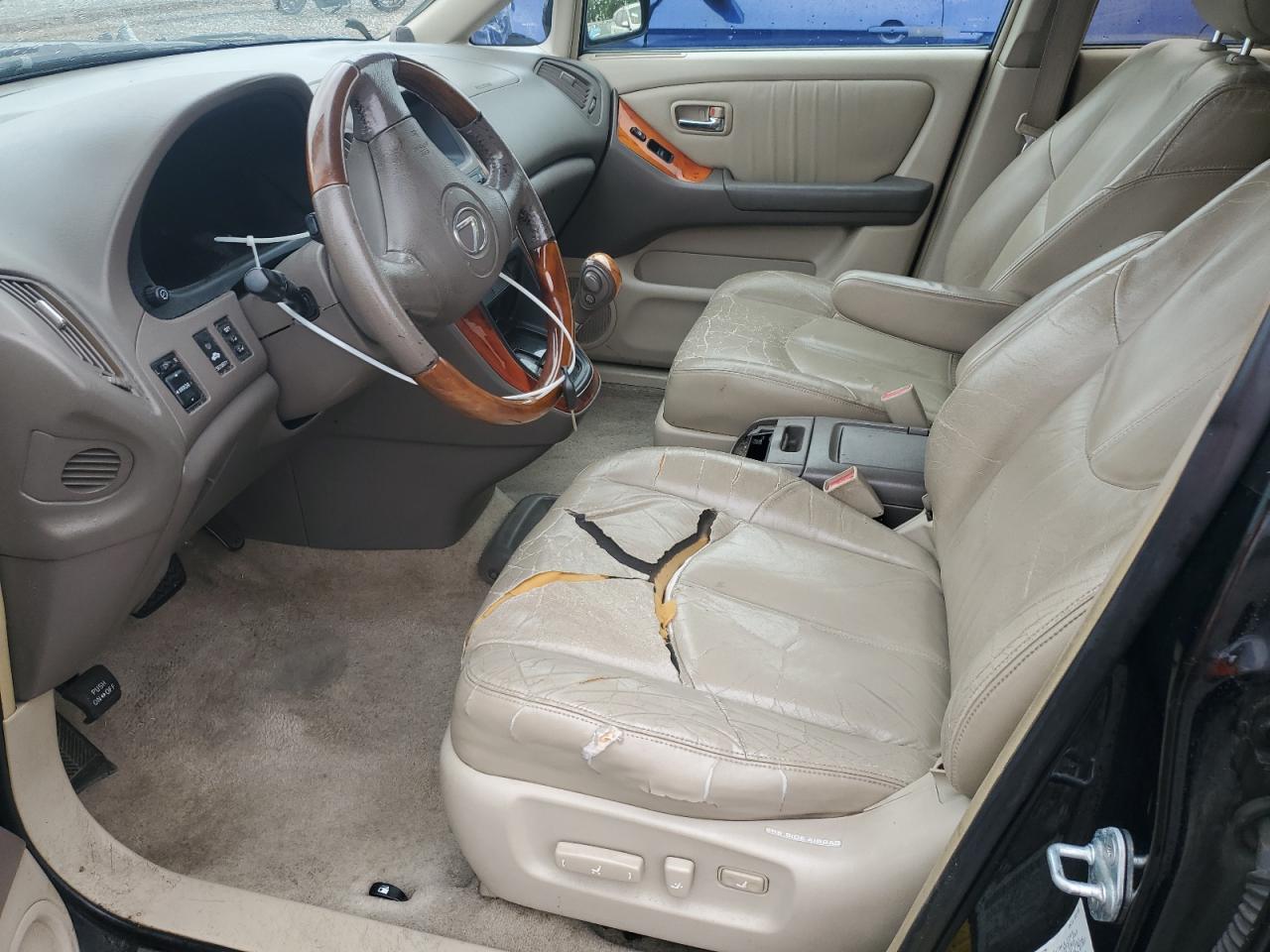 2002 Lexus Rx 300 VIN: JTJGF10U520134346 Lot: 85119505