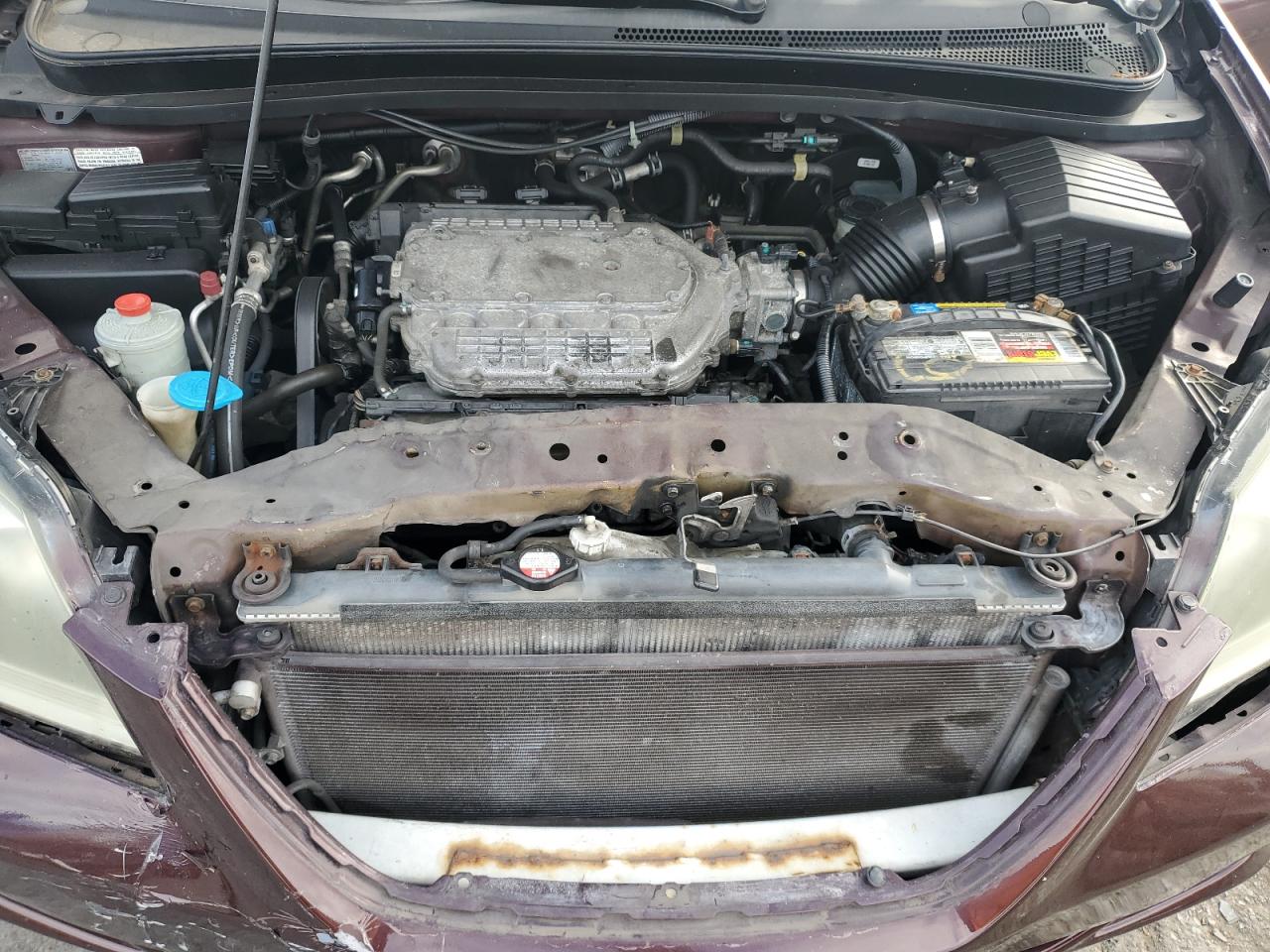 2007 Honda Odyssey Exl VIN: 5FNRL38747B106092 Lot: 82195755