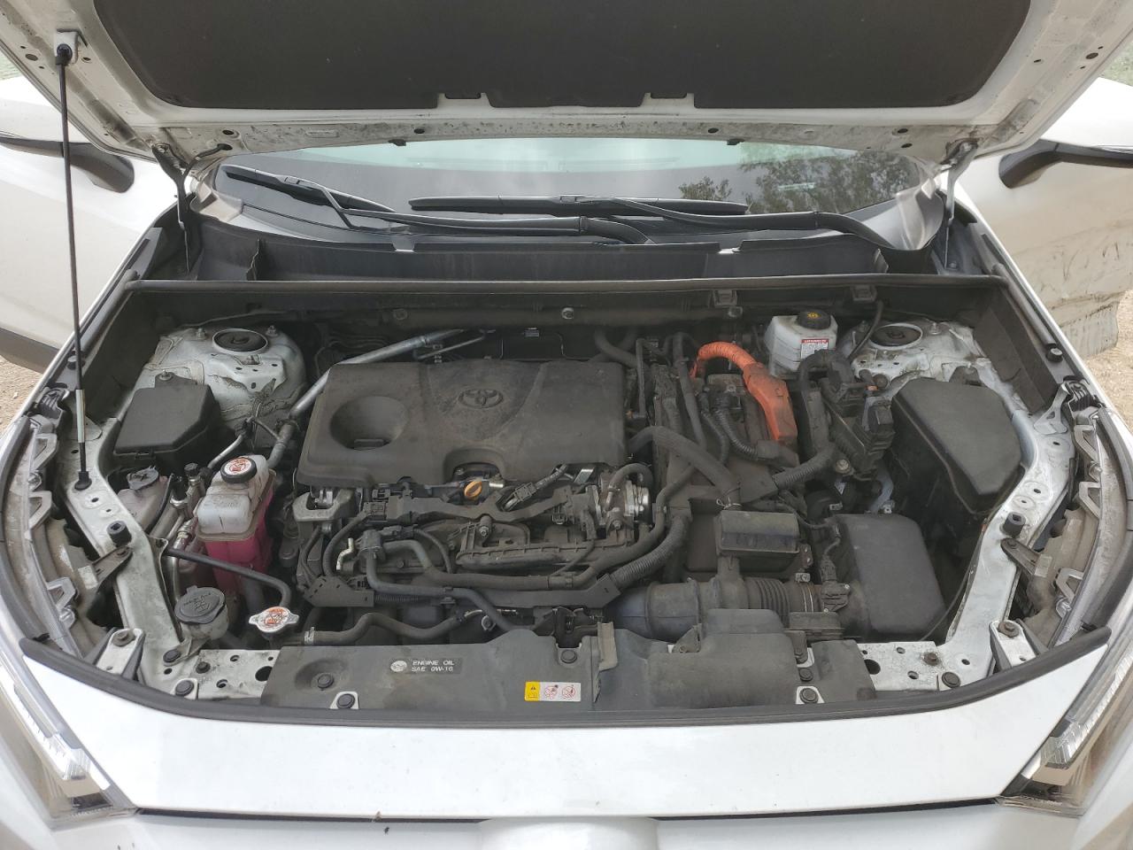 2023 Toyota Rav4 Woodland Edition VIN: 2T3UWRFV7PW151141 Lot: 85725875