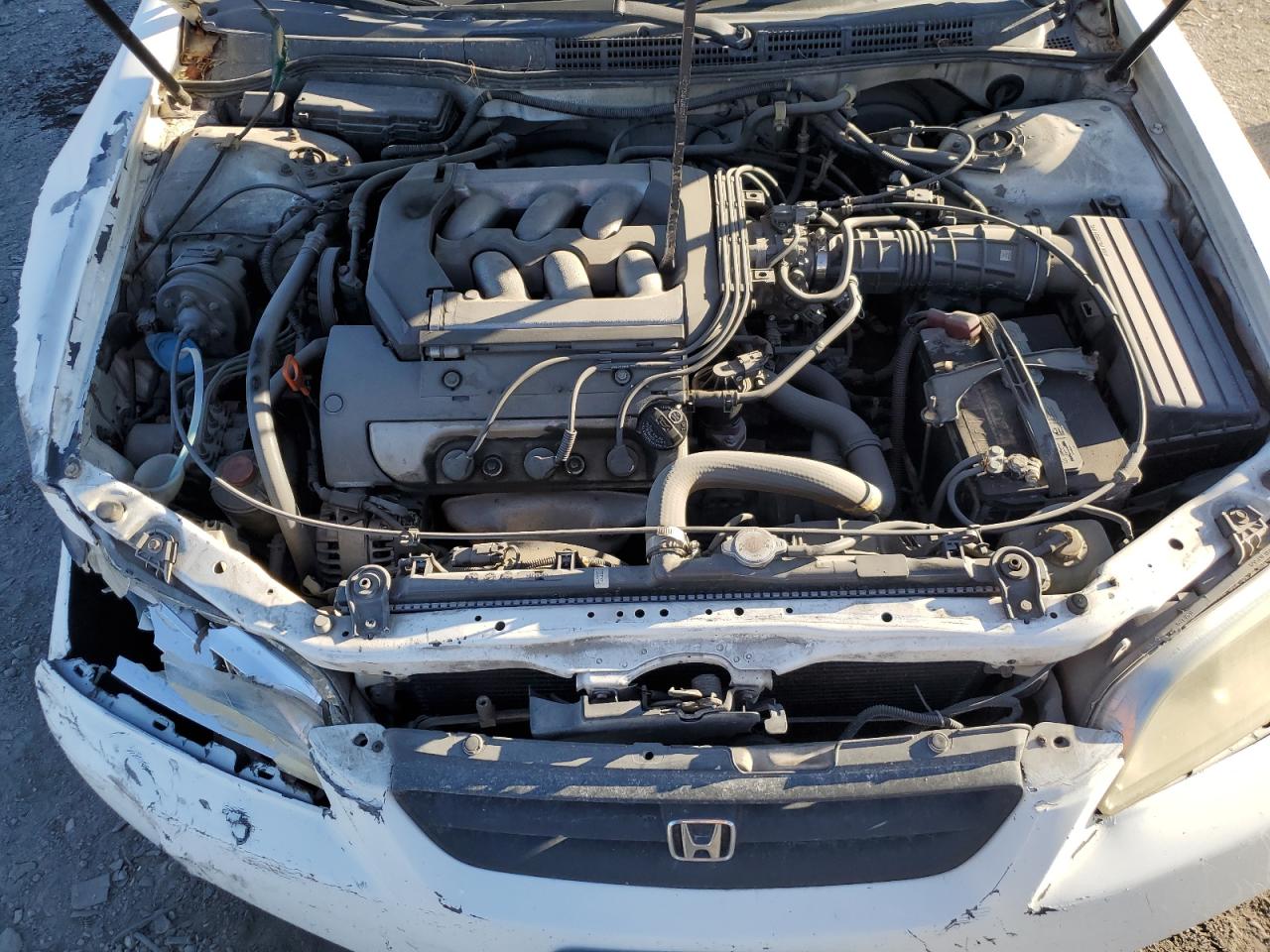 1999 Honda Accord Ex VIN: 1HGCG2250XA013432 Lot: 84782095