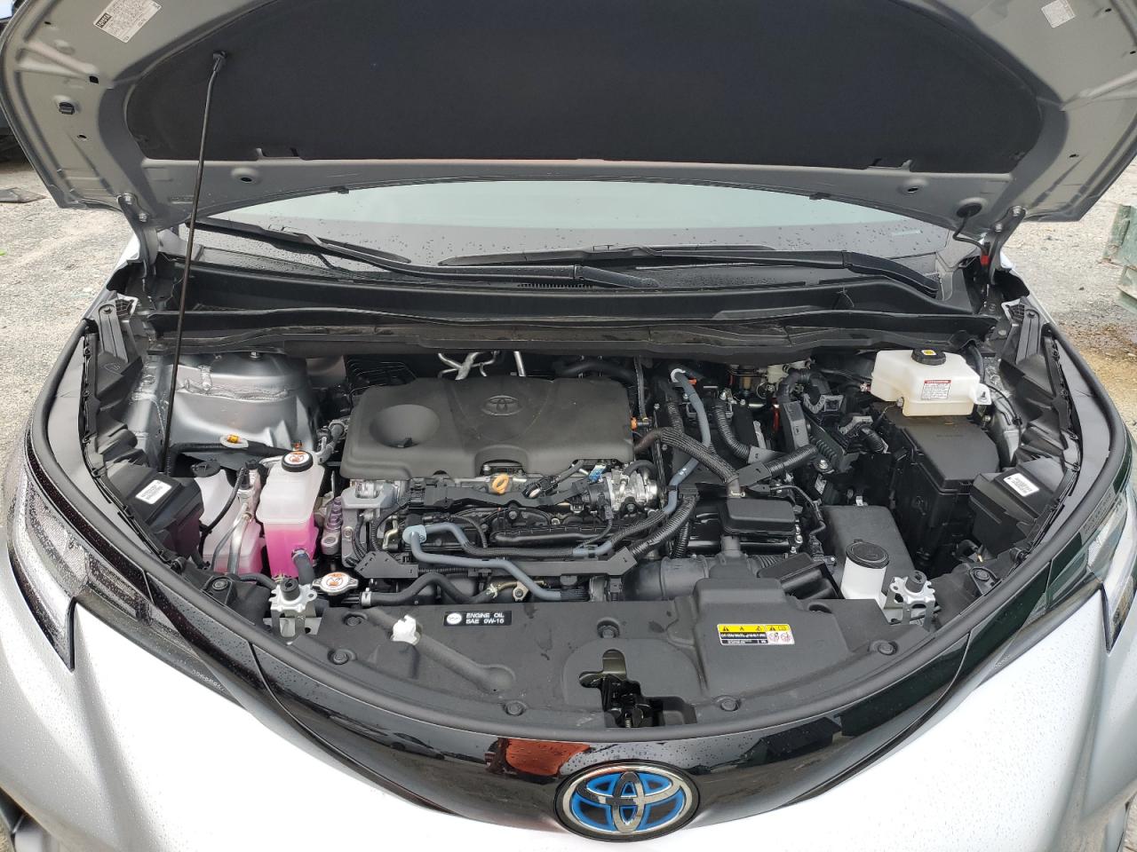 2025 Toyota Sienna Xse VIN: 5TDXRKEC7SS228807 Lot: 84911895