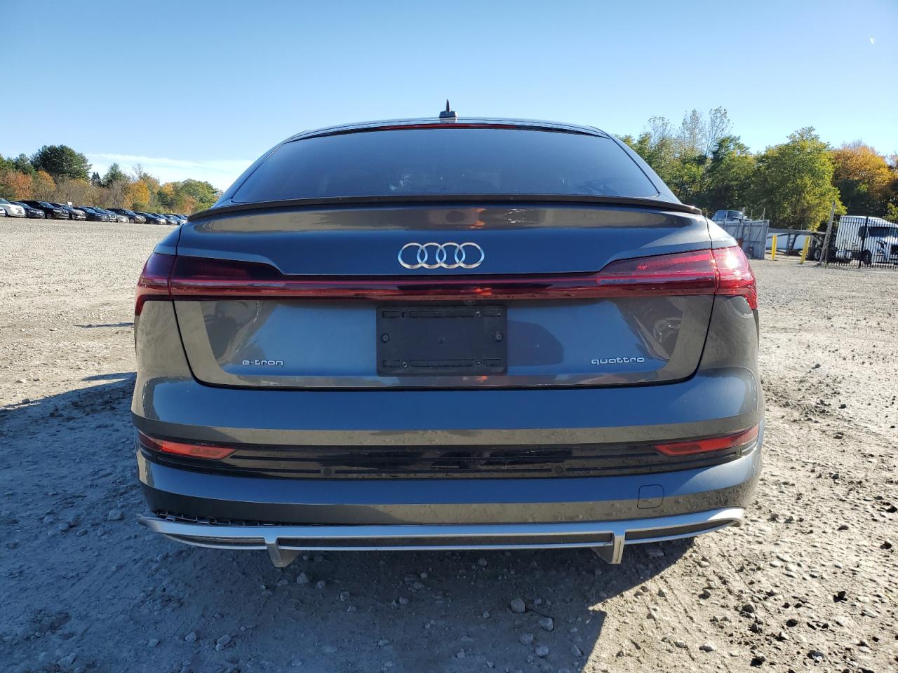2021 Audi E-Tron Sportback Premium Plus VIN: WA12AAGE4MB002142 Lot: 87190635