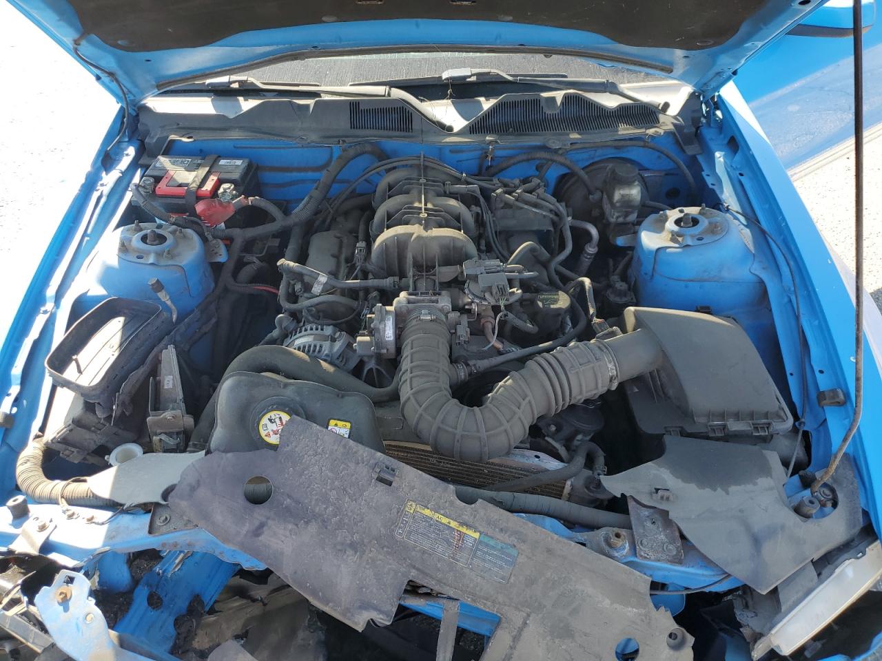 2010 Ford Mustang VIN: 1ZVBP8AN9A5123746 Lot: 82748525