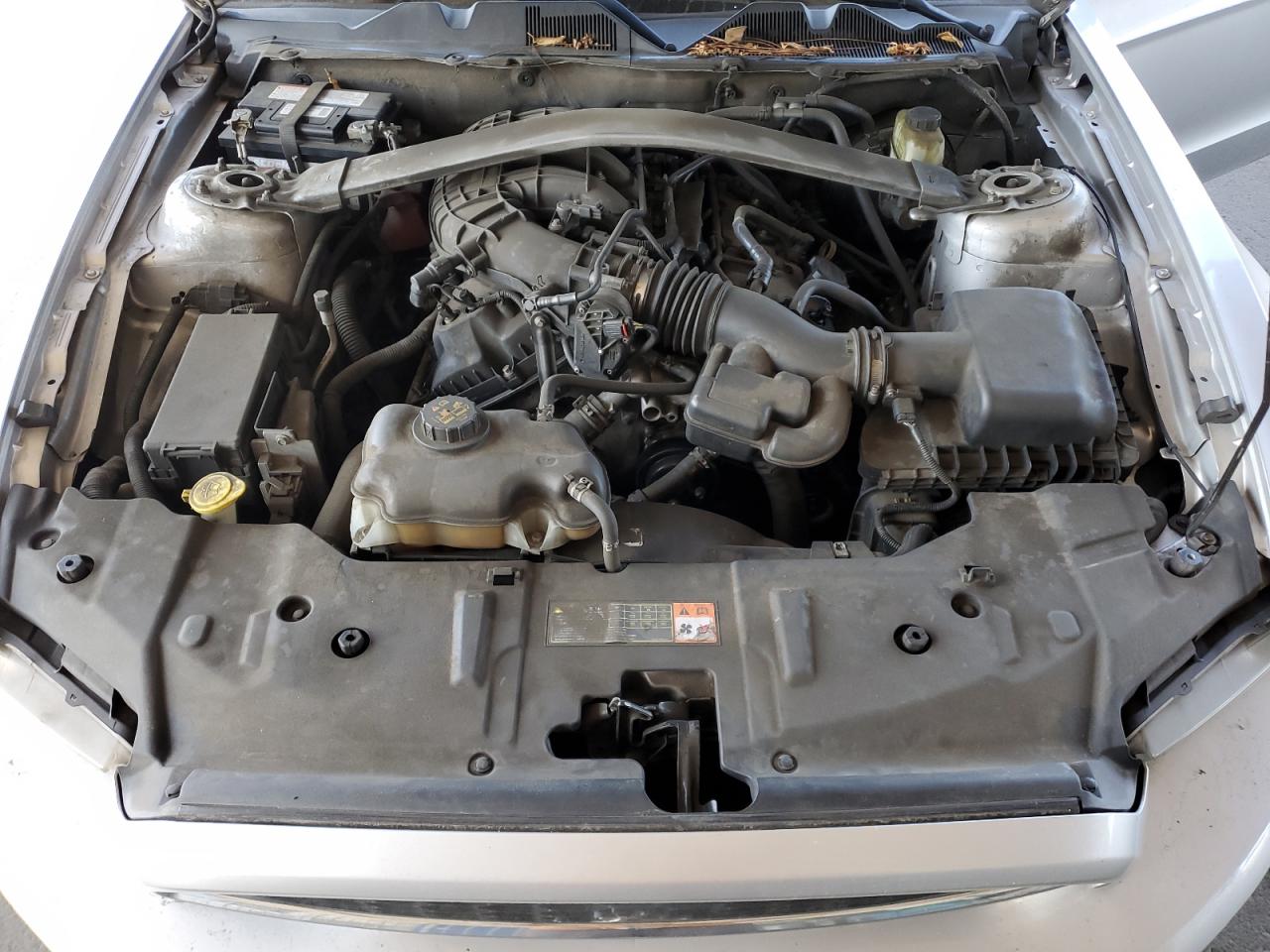 2014 Ford Mustang VIN: 1ZVBP8EM8E5279221 Lot: 82200195