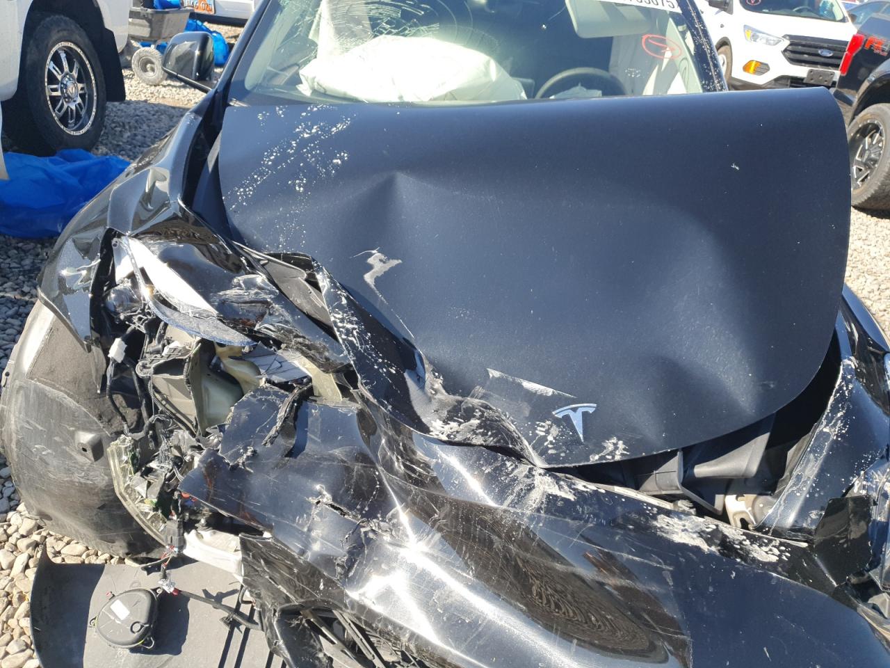 2024 Tesla Model Y VIN: 7SAYGDEF6RF048557 Lot: 81765075