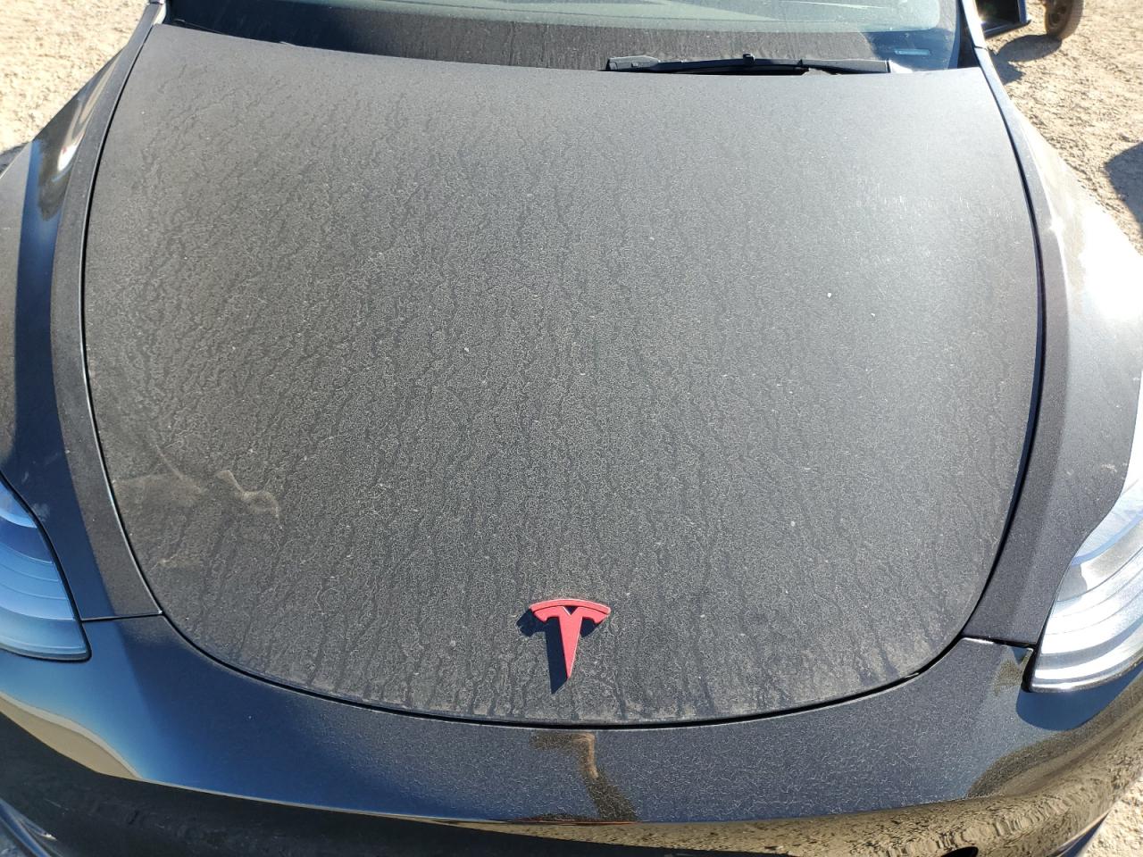 2023 Tesla Model Y VIN: LRWYGDEEXPC162315 Lot: 81654395