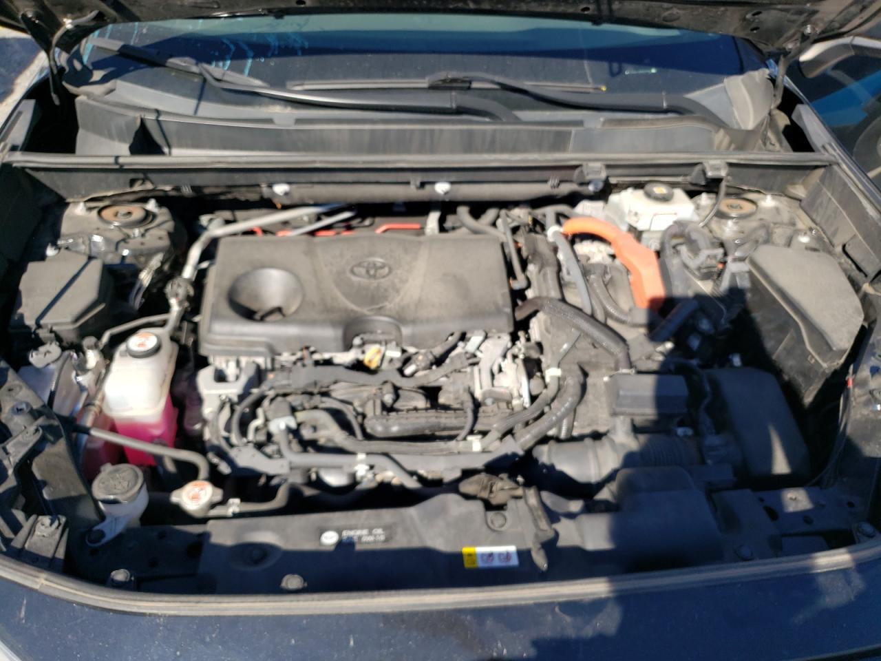 2021 Toyota Rav4 Xle VIN: 4T3R6RFV5MU016483 Lot: 84768805