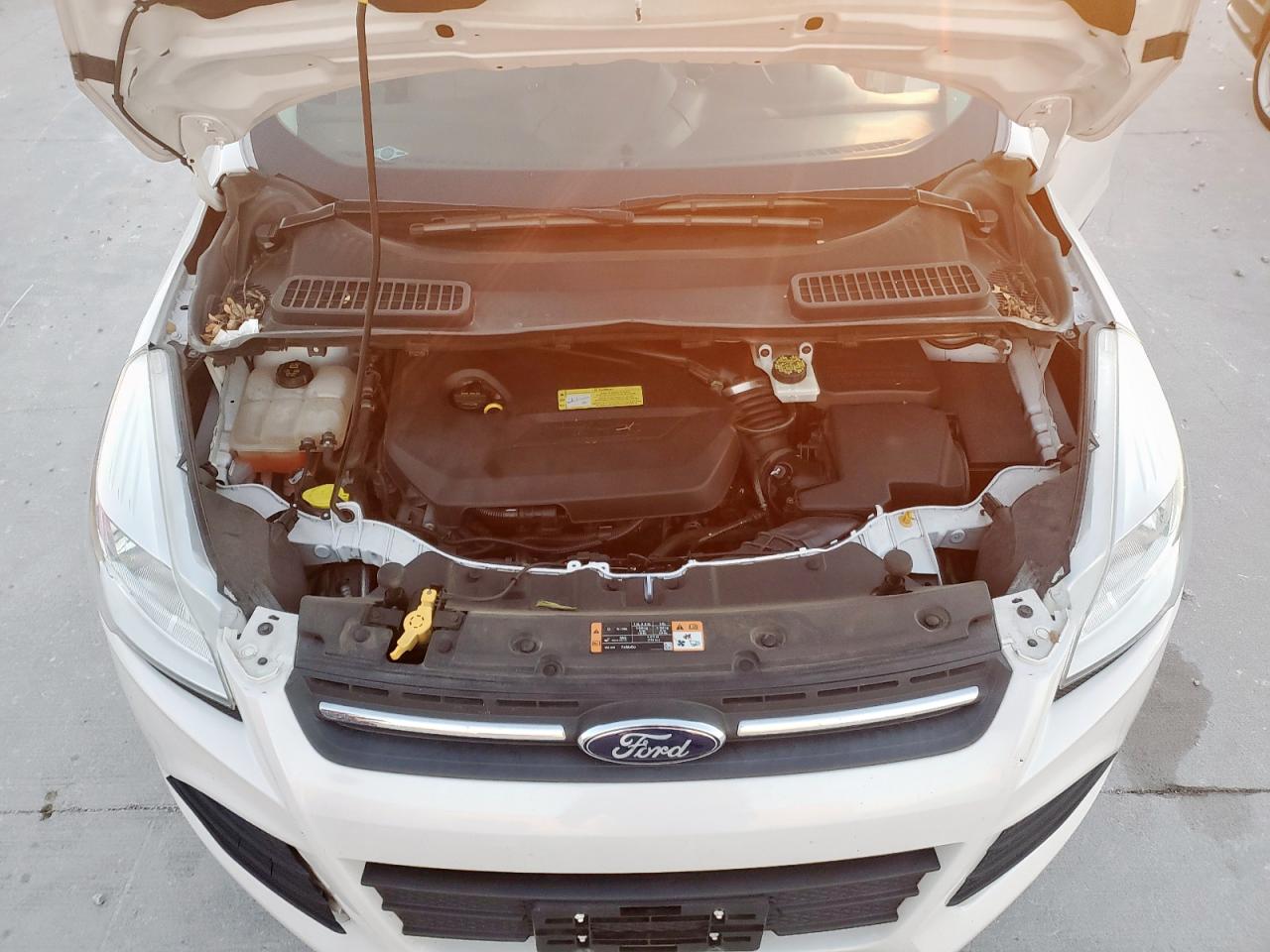 2014 Ford Escape Se VIN: 1FMCU0GX6EUC06813 Lot: 90706725