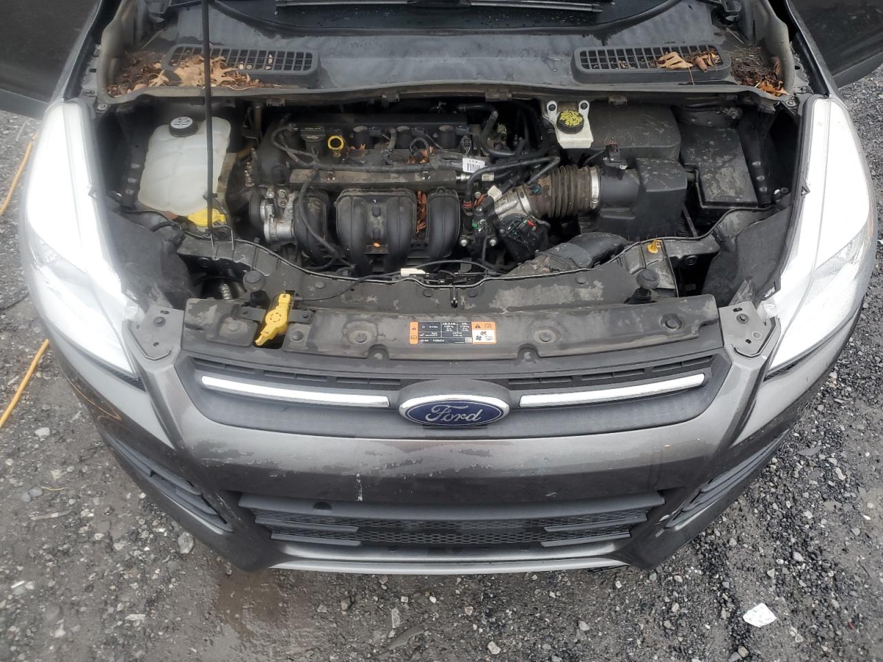 2015 Ford Escape Se VIN: 1FMCU0G77FUC78489 Lot: 82436615