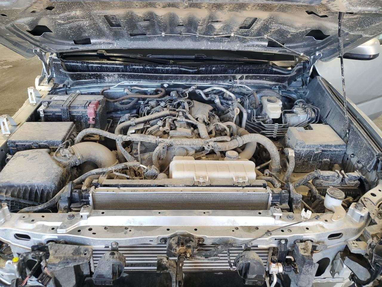 2024 Toyota Tacoma Double Cab VIN: 3TYLB5JN1RT033800 Lot: 84982595