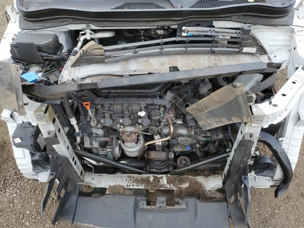 2020 Honda Pilot Exl VIN: 5FNYF5H57LB029239 Lot: 90095175