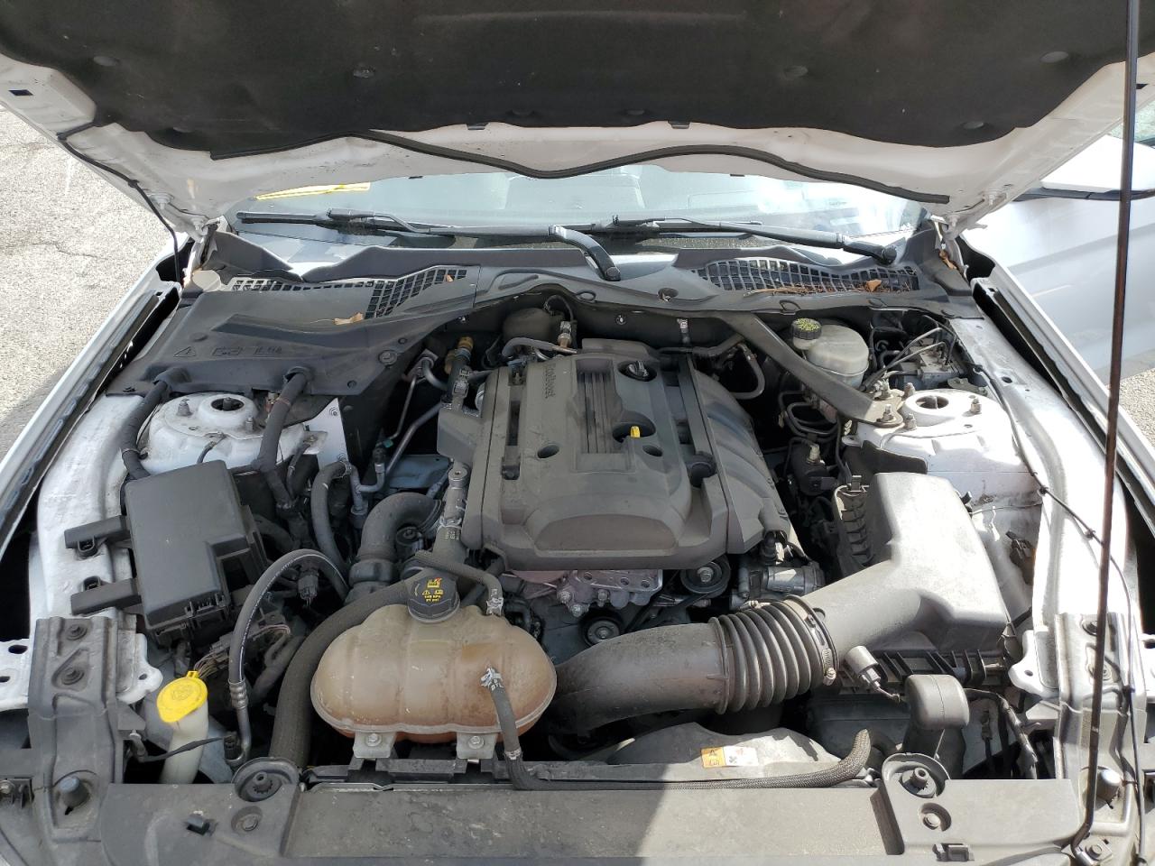 2017 Ford Mustang VIN: 1FATP8UH7H5292936 Lot: 84470225