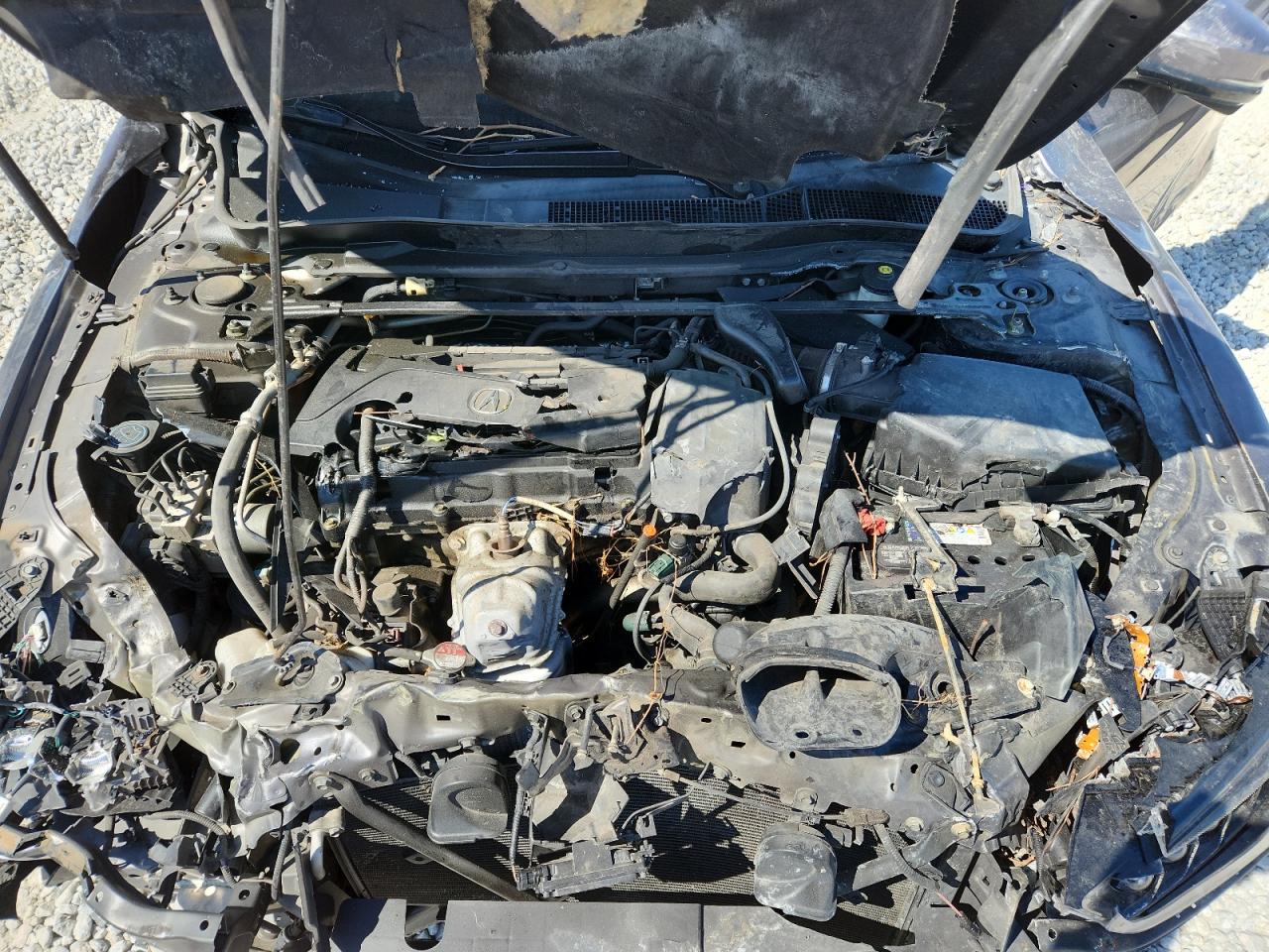 2019 Acura Tlx Technology VIN: 19UUB1F68KA006138 Lot: 84875195