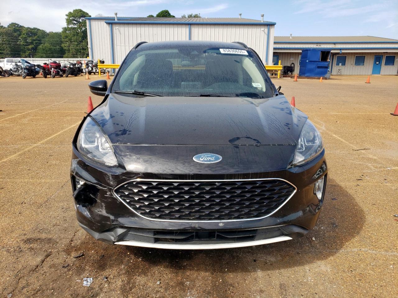 2020 Ford Escape Sel VIN: 1FMCU0H60LUB10677 Lot: 85830655