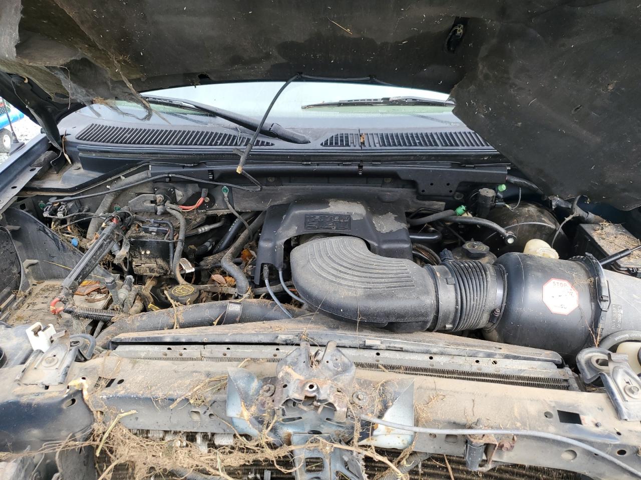 2001 Ford F150 Supercrew VIN: 1FTRW08L91KC31862 Lot: 81858805