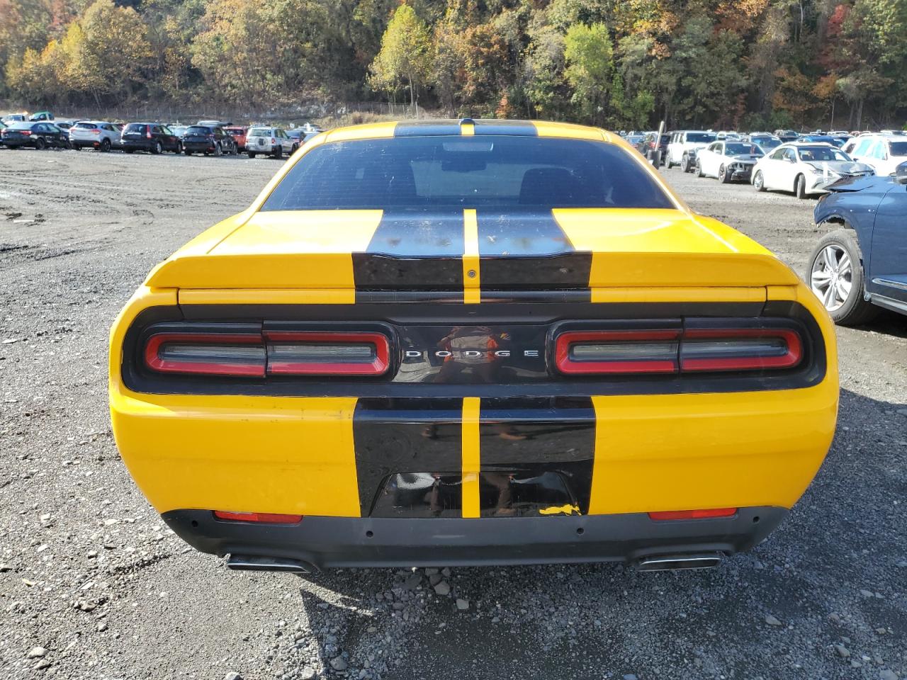 2019 Dodge Challenger R/T VIN: 2C3CDZBT6KH550691 Lot: 89817115