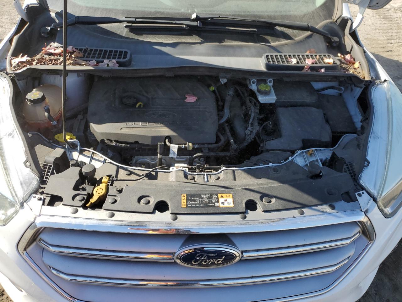 2017 Ford Escape Se VIN: 1FMCU0GD0HUD09509 Lot: 85888535