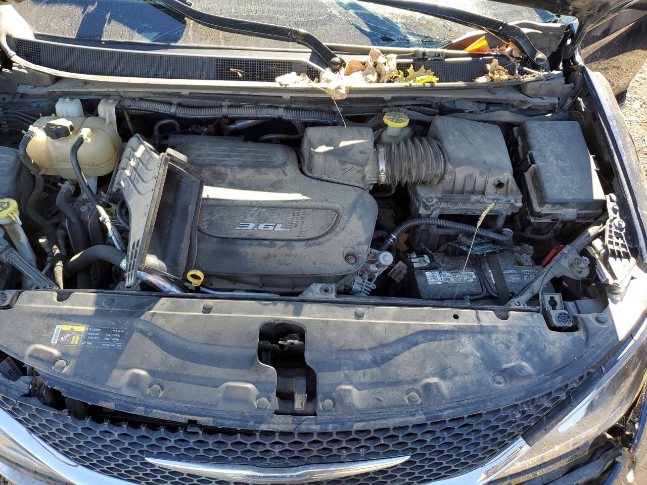 2017 Chrysler Pacifica Touring L Plus VIN: 2C4RC1EGXHR541925 Lot: 86806885