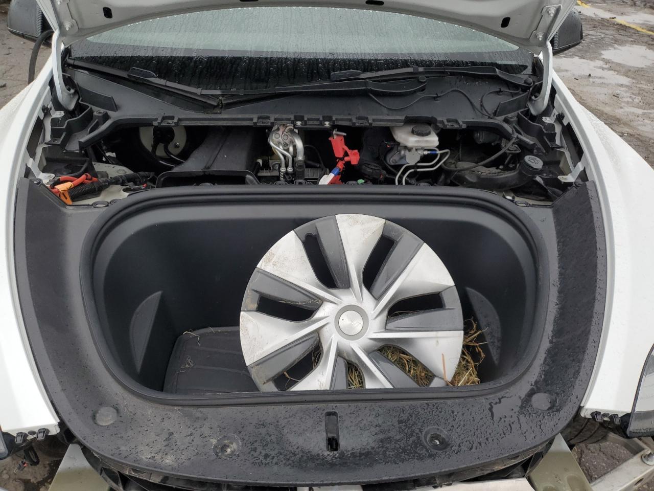 2022 Tesla Model Y VIN: 7SAYGDEE4NF366291 Lot: 85678545