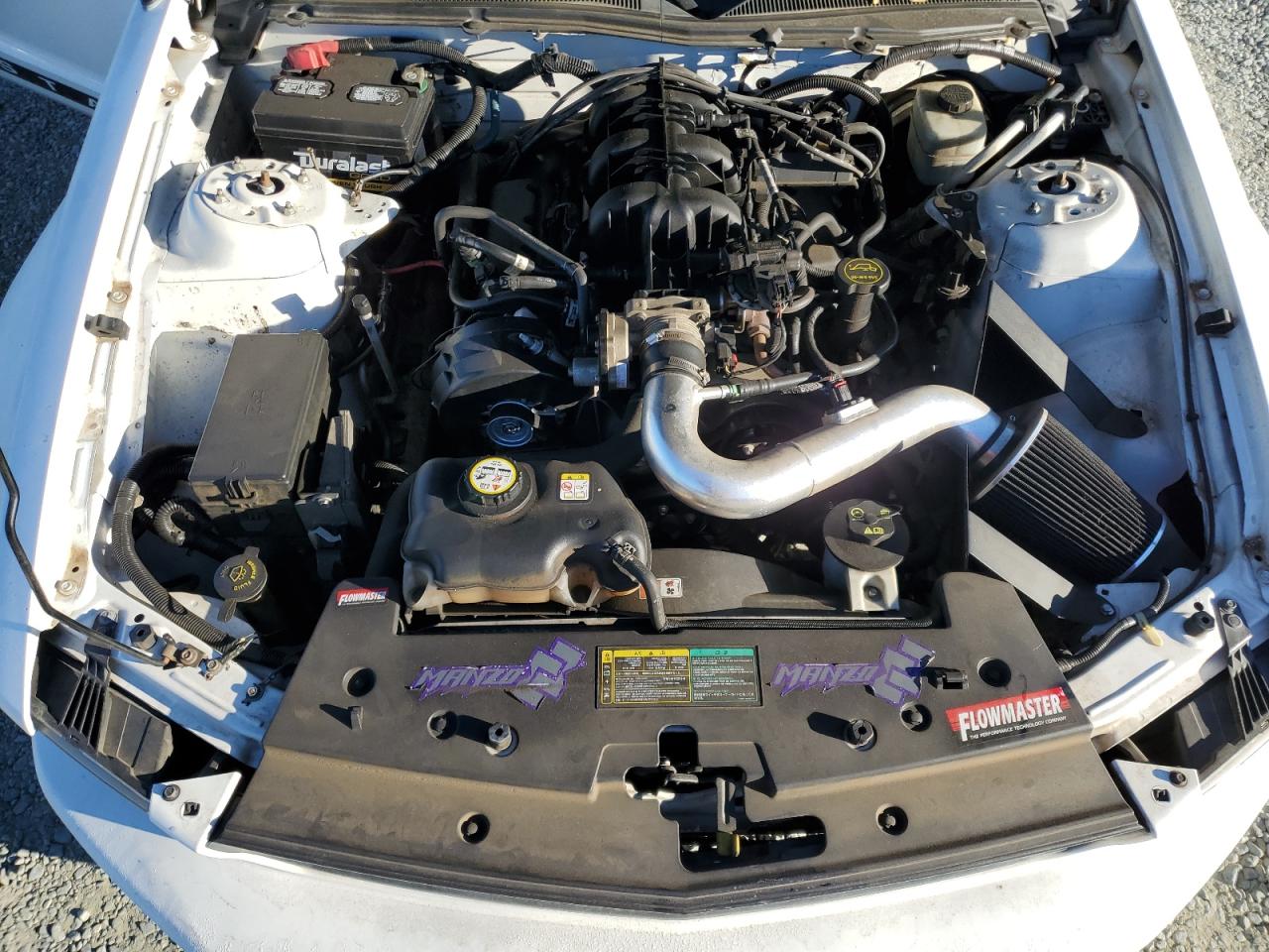 2005 Ford Mustang VIN: 1ZVFT80NX55103641 Lot: 82490805