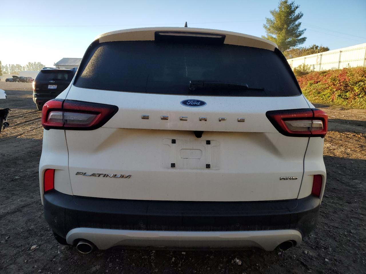 2023 Ford Escape Platinum VIN: 1FMCU9JA9PUB46036 Lot: 86620865