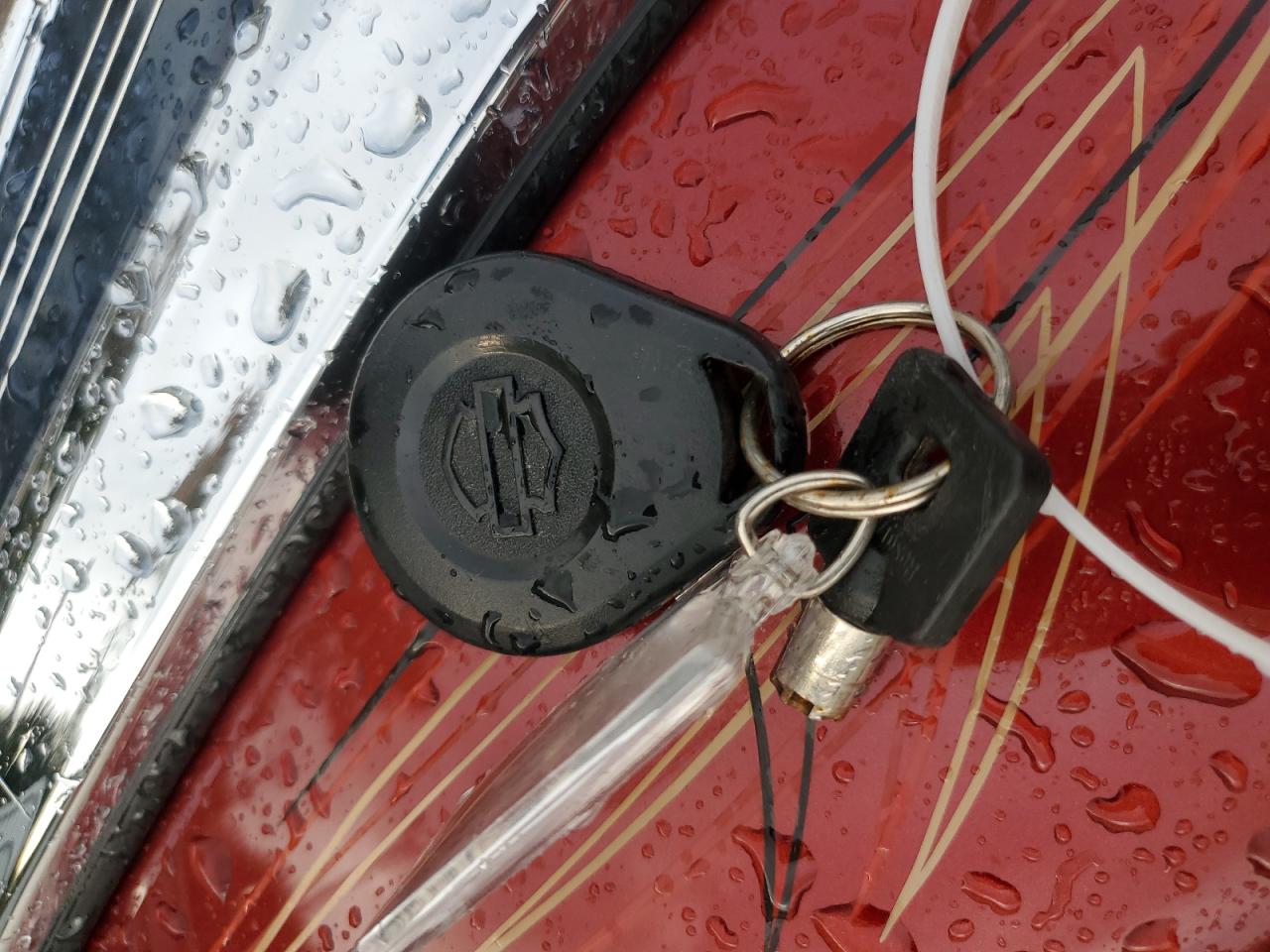 2009 Harley-Davidson Flhx VIN: 1HD1KB4189Y601716 Lot: 90016655