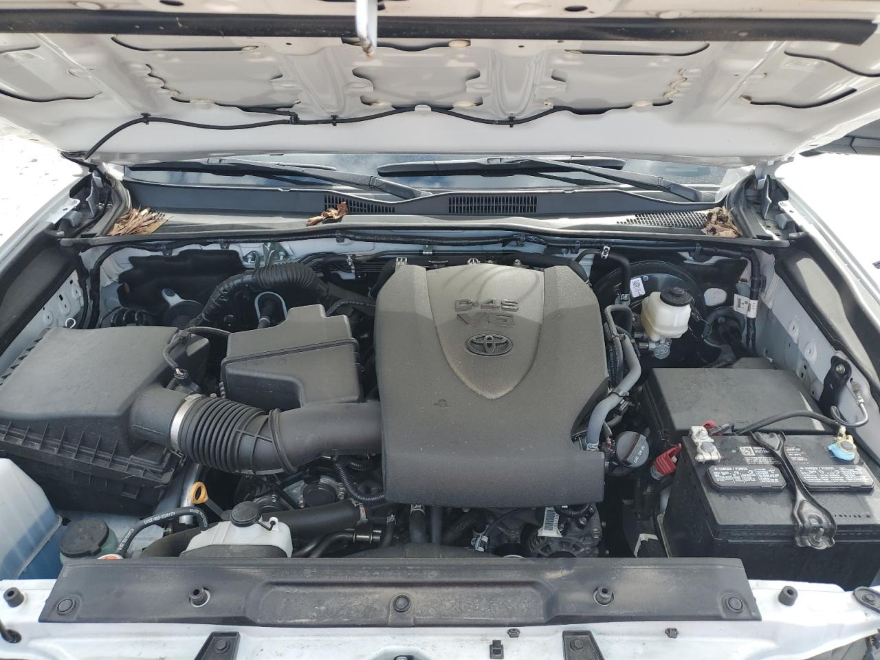 2023 Toyota Tacoma Access Cab VIN: 3TYSZ5AN5PT105795 Lot: 86096535